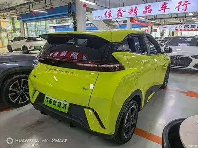 2023 BYD Seagull Flying Edition, фото 4, лот 10605699