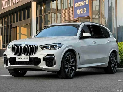 2022 BMW X5 Facelift xDrive 30Li Premium M Sport Package, фото 1, лот 10462890