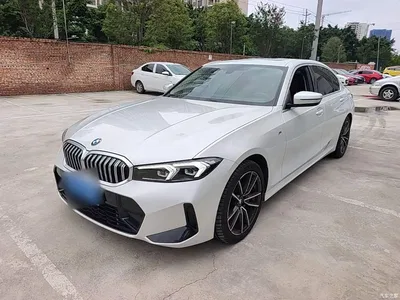 2023 BMW 3 Series 320Li M Sport Package, фото 1, лот 10457534