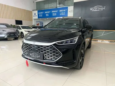 2024 BYD Tang New Energy DM-i Glory Edition 112KM Deluxe, фото 1, лот 10404949