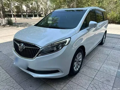 2017 Buick GL8 ES 28T Comfort Type China V, фото 1, лот 10388104