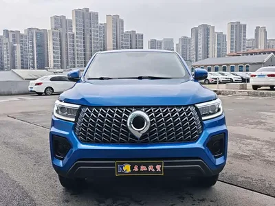 2023 Great Wall Pao 2.0T Commercial Manual Diesel 4WD Elite Long Box GW4D20M, фото 1, лот 10245977