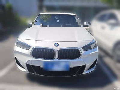 2020 BMW X2 sDrive25i Leading M Sport Package, фото 2, лот 11571347