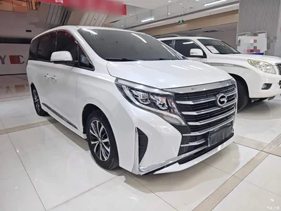 2021 GAC Trumpchi Trumpchi M8 Facelift Leading Series 390T Luxury Edition, фото 4, лот 11188989