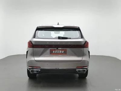 2023 Roewe RX9 2.0T 2WD Premium Edition, фото 4, лот 10339060
