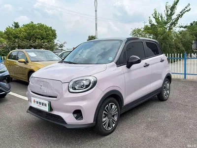 2024 Leapmotor T03 310 Comfort Edition, фото 1, лот 10316701