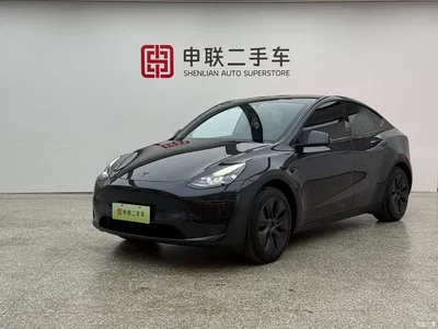 2024 Tesla Model Y Rear-Wheel Drive Version, фото 1, лот 11097817