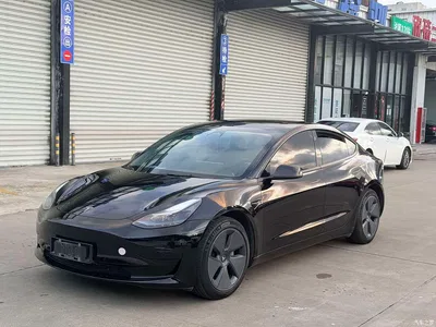 2022 Tesla Model 3 Model Rear-Wheel Drive Version, фото 1, лот 10768225