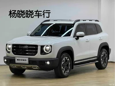 2022 Haval Big Dog 2.0T DCT AWD Chinese Pastoral Dog Edition, фото 1, лот 11196722