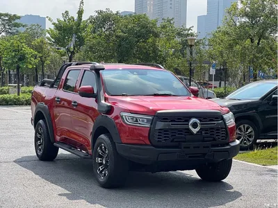 2020 Great Wall Pao 2.0T Off-Road Auto Gasoline 4WD Premium Edition GW4C20B, фото 3, лот 11243597