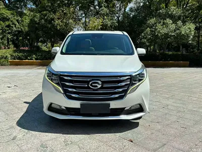 2018 GAC Trumpchi Trumpchi M8 320T Flagship Edition, фото 1, лот 10887383
