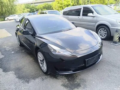 2022 Tesla Model 3 Model Rear-Wheel Drive Version, фото 4, лот 10370217