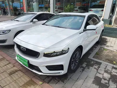 2021 Geely Xing Rui 2.0TD Luxury, фото 1, лот 10357936