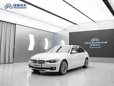2019 BMW 3 Series 320Li Fashion Type, фото 3, лот 11220221