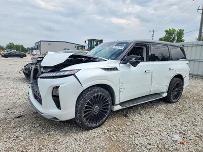2025 INFINITI QX80 LUXE, фото 1, лот 10883859