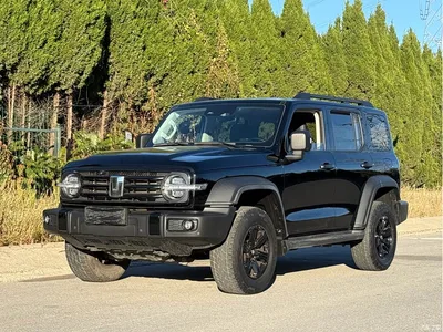 2021 Tank 300 Off-road Version 2.0T Conqueror, фото 1, лот 11574439