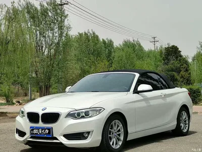 2015 BMW 2 Series (Import) 218i Convertible Coupe, фото 1, лот 10471389