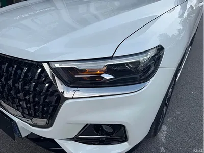 2023 Haval H6 National Trend Edition 1.5T Automatic Champion, фото 4, лот 10281555