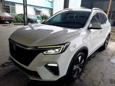 2020 Roewe RX5 PLUS 300TGI Auto Ali Guochao Luxury Edition, фото 2, лот 11192442