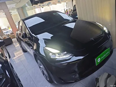 2022 Tesla Model Y Facelift Rear-Wheel Drive Version, фото 4, лот 10381143