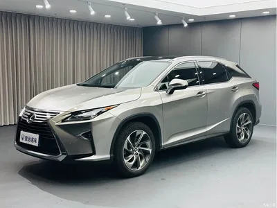 2016 Lexus RX 300 4WD Elegance Edition China VI, фото 1, лот 10312389