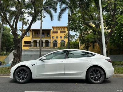 2019 Tesla Model 3 (Import) Long Range RWD Version, фото 2, лот 11023611