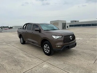 2021 Great Wall Pao 2.0T Commercial Edition Manual Diesel 2WD Elite Long Box GW4D20M, фото 3, лот 10246120
