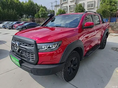 2023 Great Wall Pao 2.0T Off-road Edition Auto Diesel 4WD Advanced, фото 1, лот 11511708