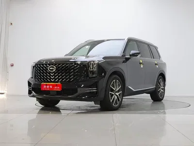 2022 GAC Trumpchi Trumpchi GS8 Pilot Series 2.0TGDI 2WD Luxury Smart Connect Edition (7-Seater), фото 1, лот 10414915