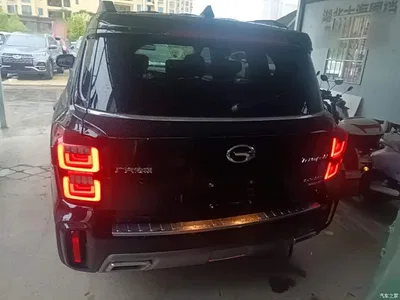 2020 GAC Trumpchi Trumpchi GS8 GS8S 390T 2WD Luxury Smart Connect Edition, фото 4, лот 10423874