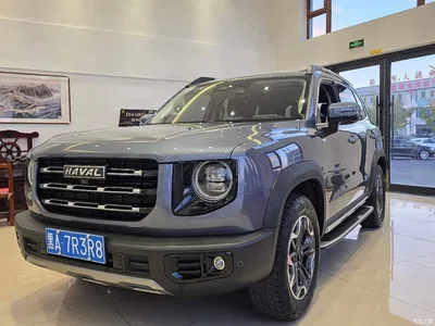 2022 Haval Big Dog Model 2.0T DCT AWD Howling Celestial Dog Hunting Edition, фото 1, лот 10662063