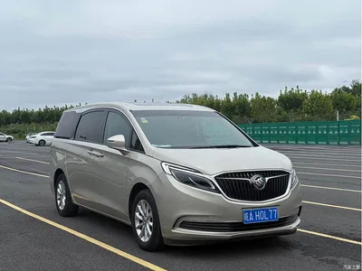2017 Buick GL8 ES 28T Premium China V, фото 3, лот 10250412