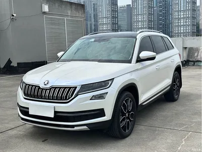 2021 Škoda Kodiaq TSI330 5-seat 2WD Luxury Premium, фото 1, лот 10404484