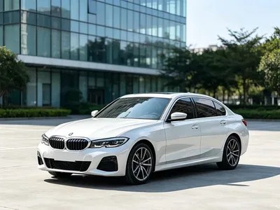 2020 BMW 3 Series 325Li M Sport Package, фото 1, лот 11090108