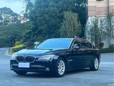 2009 BMW 7 Series 740Li Premium, фото 1, лот 10459304
