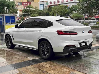 2019 BMW X4 xDrive25i M Sport Package, фото 3, лот 10476776