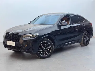 2022 BMW X4 xDrive 25i M Sport Package, фото 1, лот 11134287