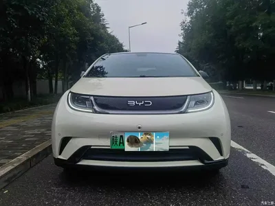2024 BYD Dolphin Glory Edition 420km Fashion Edition, фото 2, лот 10435207