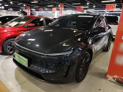 2025 Tesla Model Y Rear-Wheel Drive, фото 1, лот 11138074