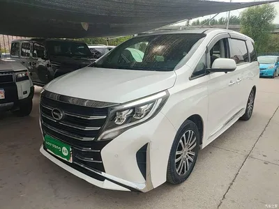 2021 GAC Trumpchi Trumpchi M8 Leading Show Series 390T Prestige Edition, фото 2, лот 10426193