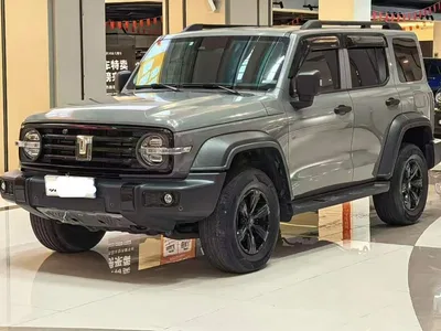 2021 Tank 300 Off-road Version 2.0T Conqueror, фото 1, лот 10345154