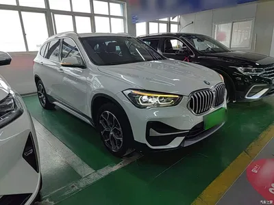 2020 BMW X1 sDrive20Li Premium Edition, фото 4, лот 11448374