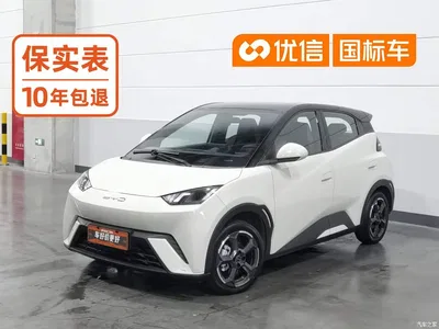 2023 BYD Seagull Flying Edition, фото 1, лот 10250160