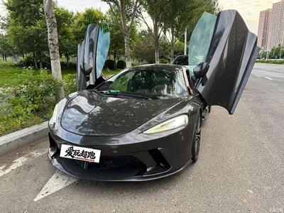 2019 McLaren GT 4.0T Standard, фото 1, лот 10320301