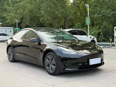 2020 Tesla Model 3 Facelift Standard Range RWD Upgrade, фото 4, лот 10369246