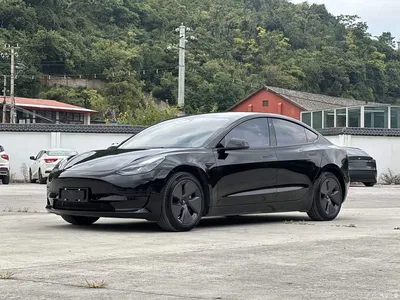 2022 Tesla Model 3 Model Rear-Wheel Drive Version, фото 1, лот 11074333