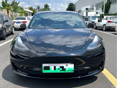 2021 Tesla Model 3 Standard Range Rear-Wheel Drive Upgrade, фото 2, лот 10334432