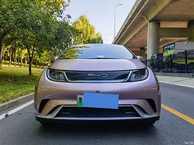 2024 BYD Dolphin Glory Edition 420km Fashion Edition, фото 4, лот 11188834