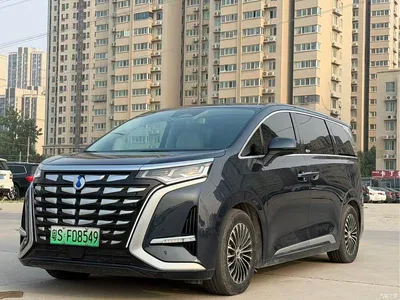 2024 Denza D9 DM-i 980 AWD Flagship, фото 1, лот 10804233