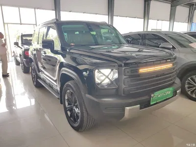 2024 Haval Meng Long NEV Hi4 145 Pro, фото 4, лот 11192396